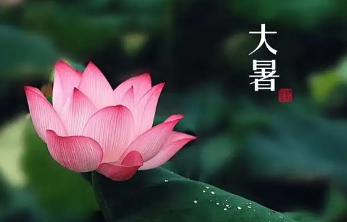 今日大暑：夏正濃，注意養生