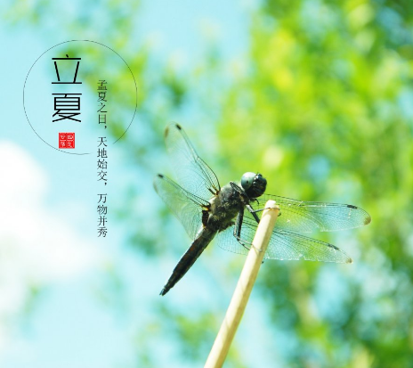 二十四節氣 | 立夏